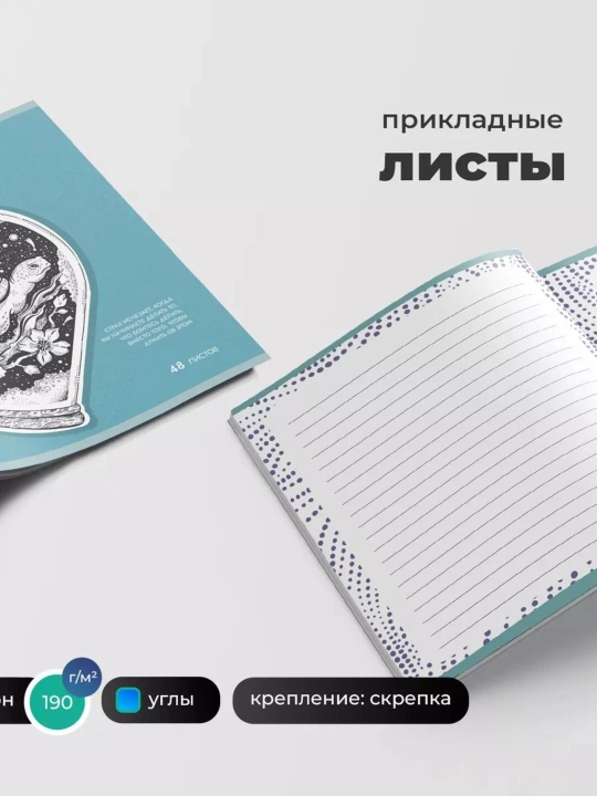 A5 daftar to‘plami, 48 varaqlik, 5 dona, katakchali, maktab va talaba, Rossiyada ishlab