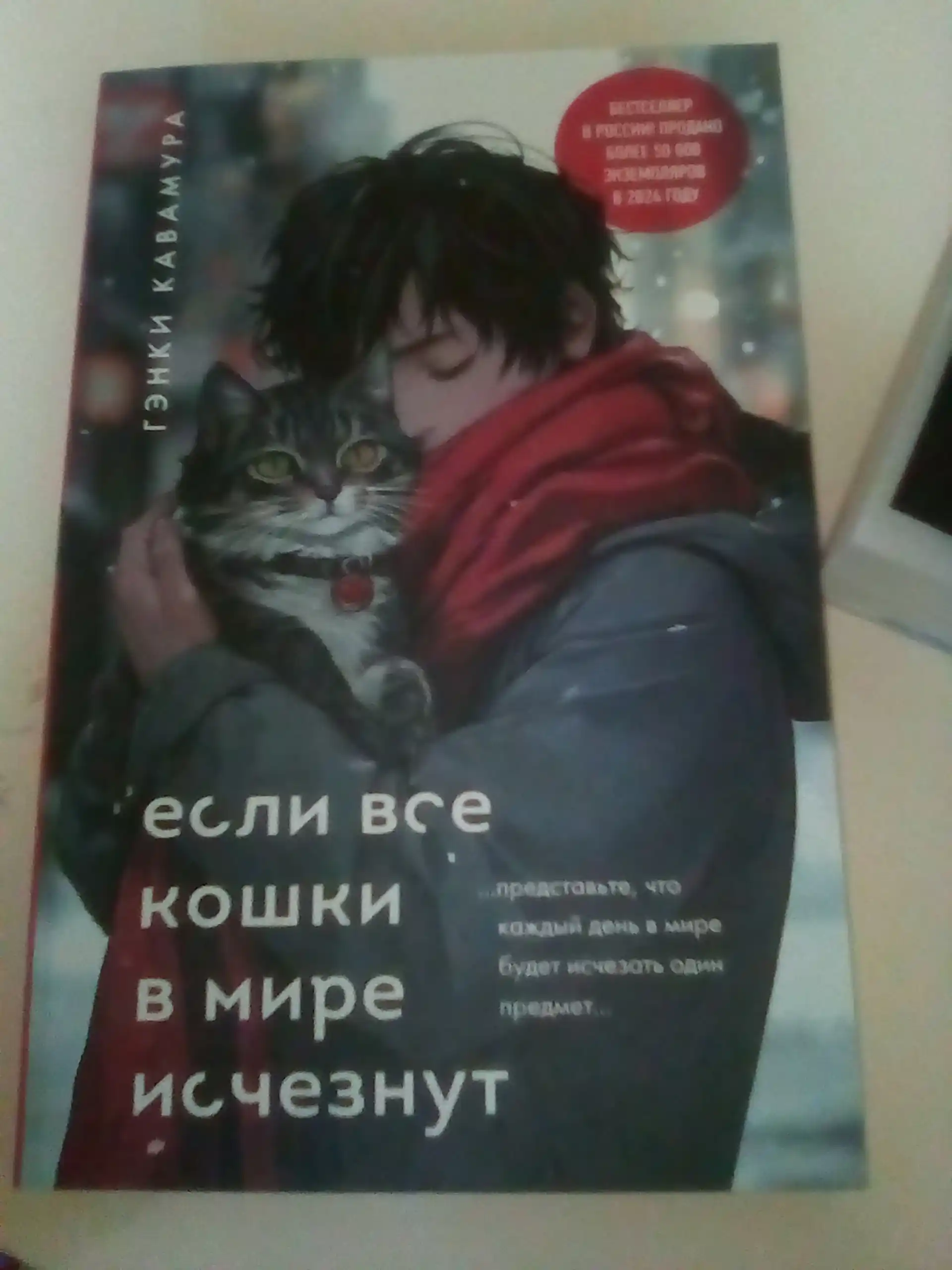 Если все кошки в мире исчезнут, Гэнки Кавамура