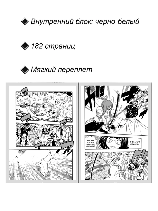 Хвост Феи: Столетний квест, 9 том