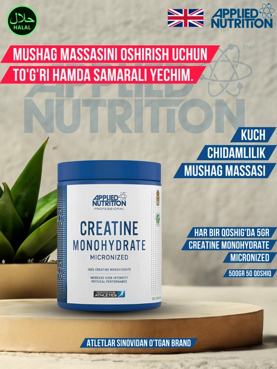 Applied Nutrition Creatine Monohydrate Powder 500 g - 