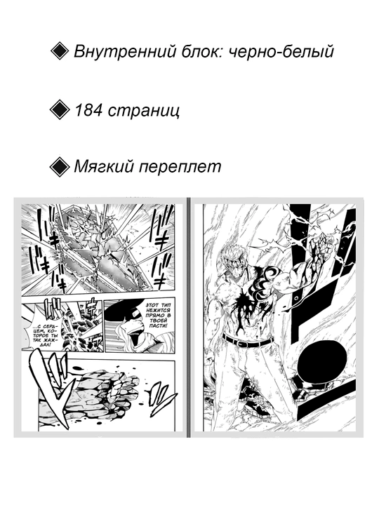 Хвост Феи: Столетний квест, 13 том