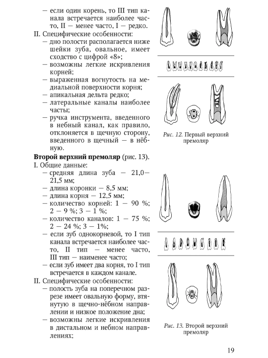 Sovremennyye podkhody k endodonticheskomu lecheniyu zubov