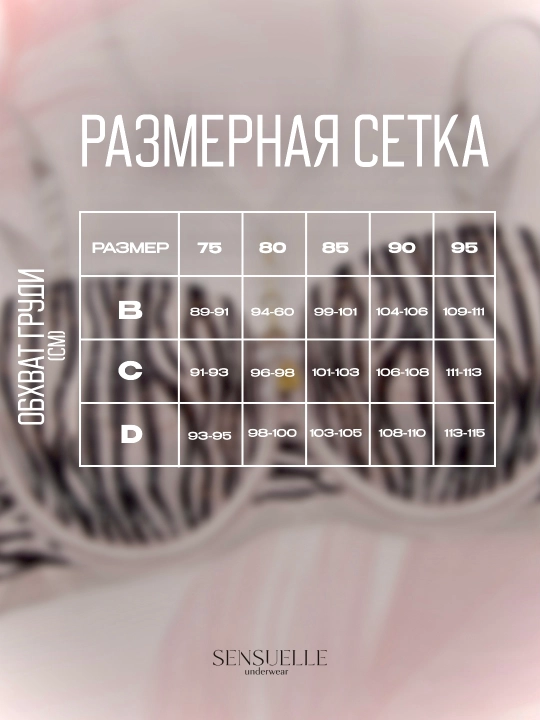 Ayollar uchun to`rli ichki kiyimlar to‘plami byustgalter va trusik, Anjelika, chashka C