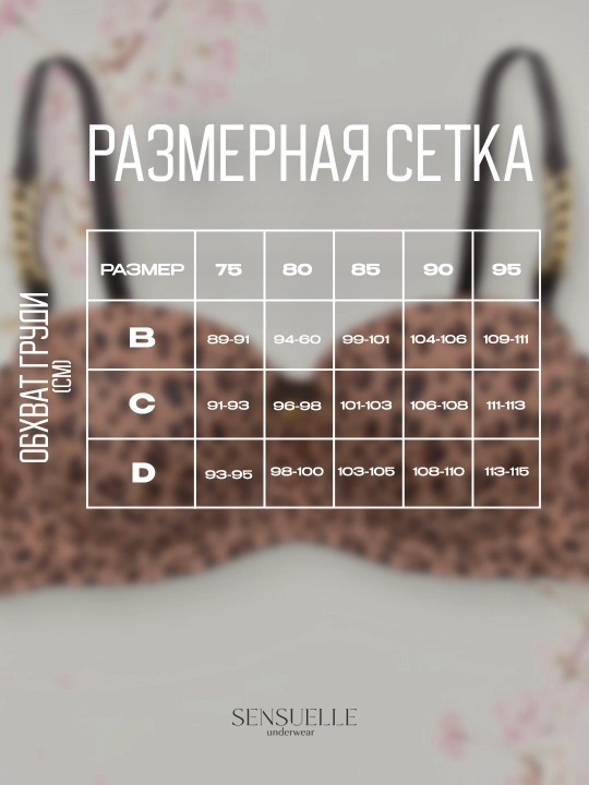 Ayollar ichki kiyimlari to‘plami, byustgalter va ichki kiyim, C chashka