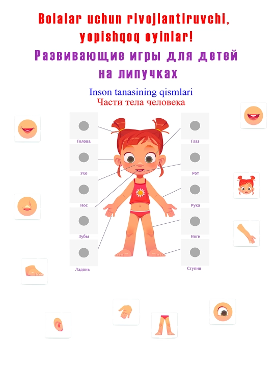 Ламинированные развивающие игры для детей на липучках