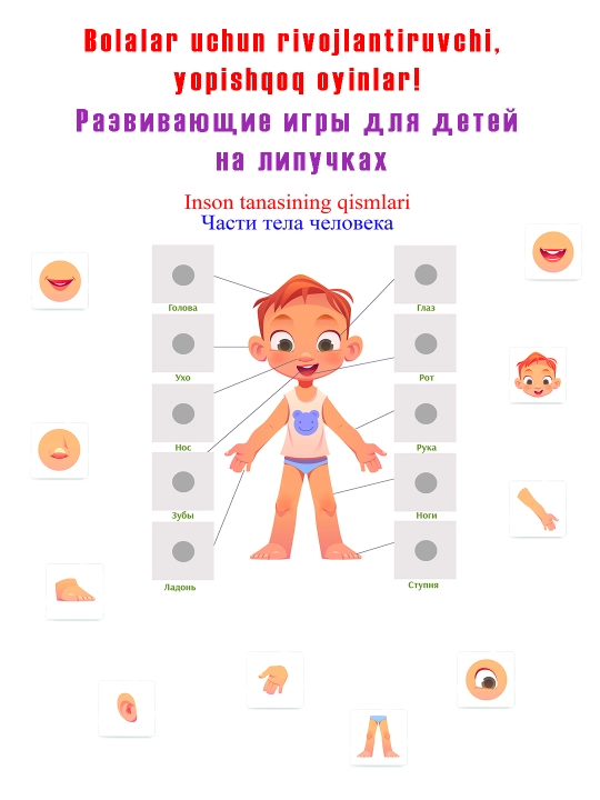 Ламинированные развивающие игры для детей на липучках