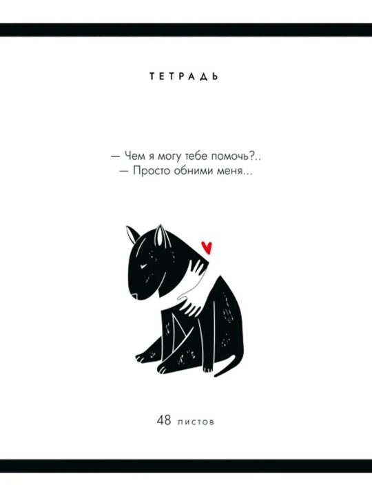 Комплект тетрадей А5, 48 листов, 5 шт, в клетку, для девочек