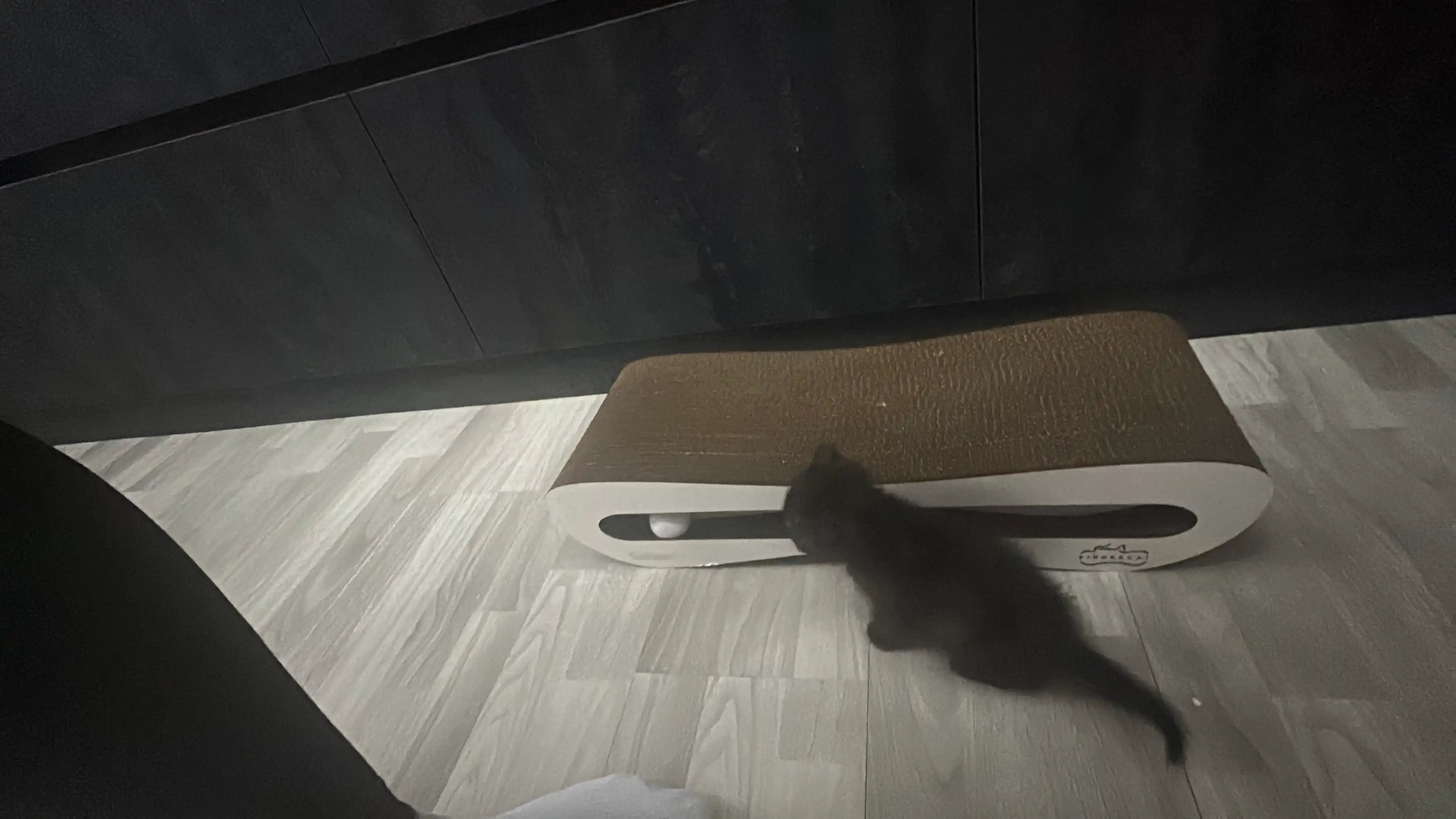 Tirnash ustuni KinderCat Saturn + koptok mushuklar uchun