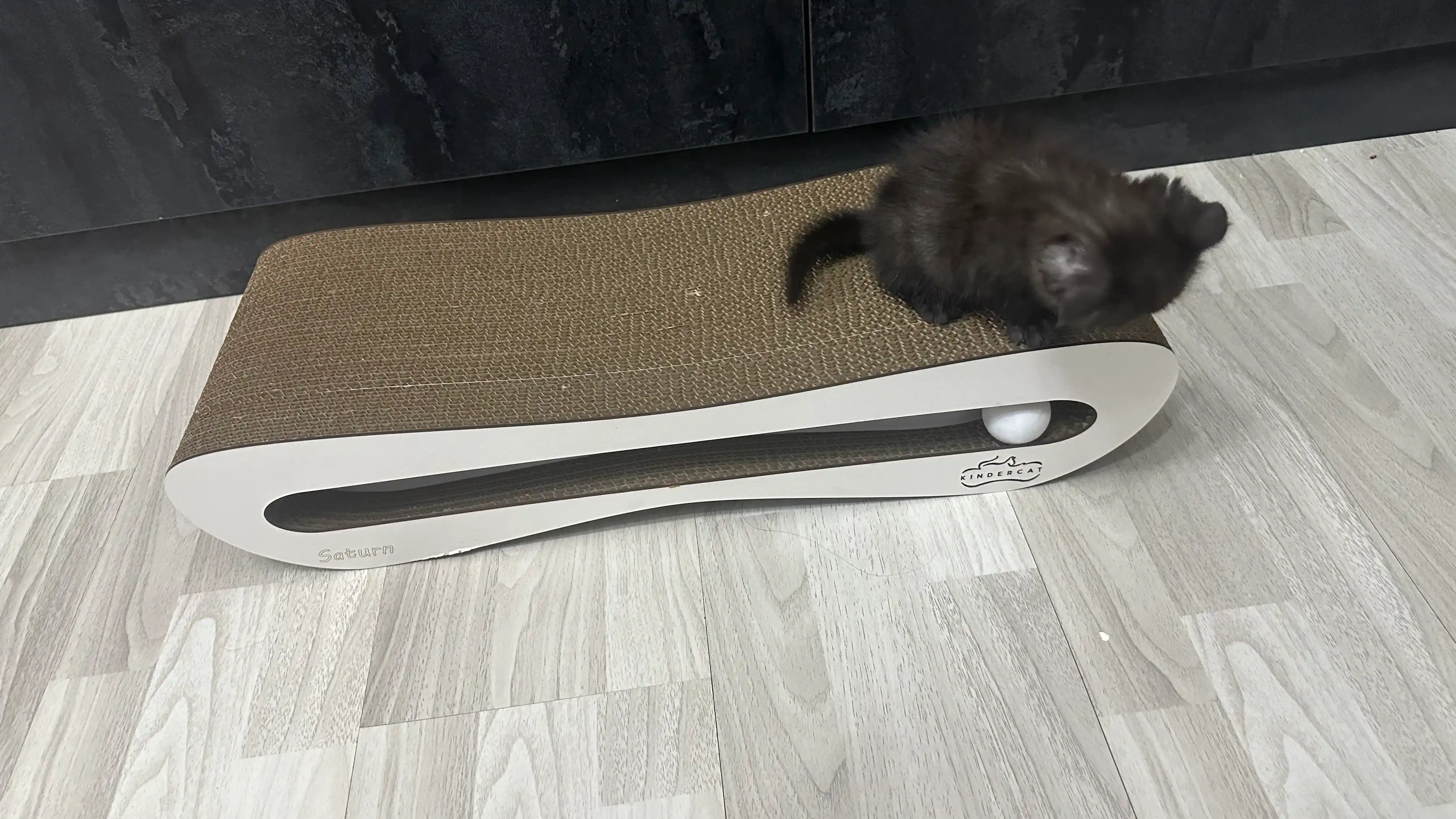 Tirnash ustuni KinderCat Saturn + koptok mushuklar uchun