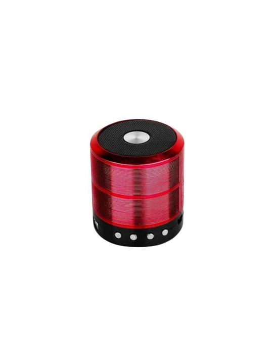 WS-887 portativ dinamik mini-kolonka