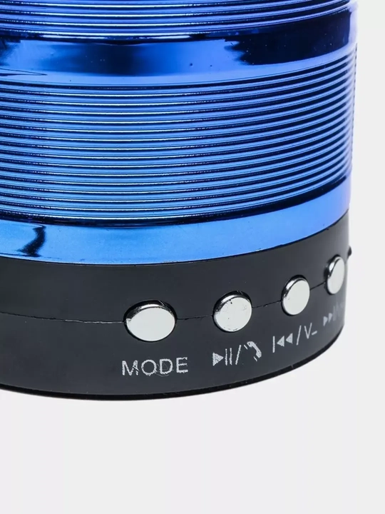 WS-887 portativ dinamik mini-kolonka