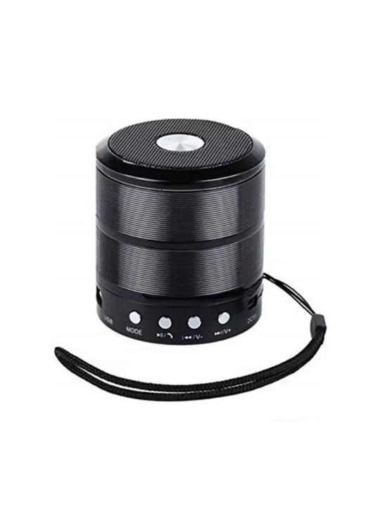 WS-887 portativ dinamik mini-kolonka