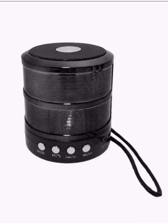 WS-887 portativ dinamik mini-kolonka