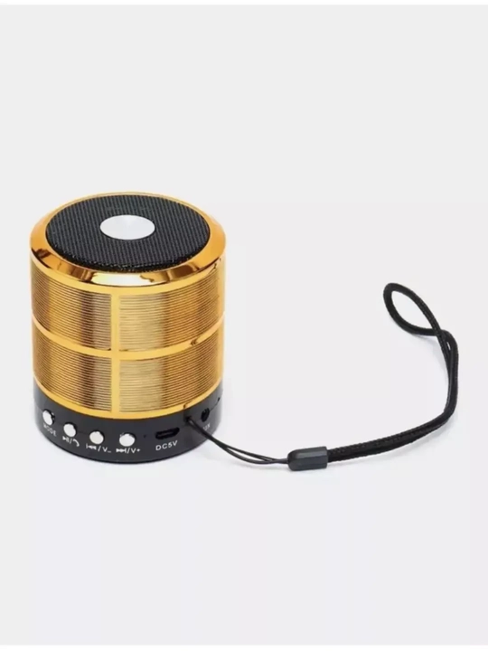 WS-887 portativ dinamik mini-kolonka
