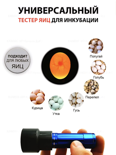 Овоскоп, тестер для проверки яиц