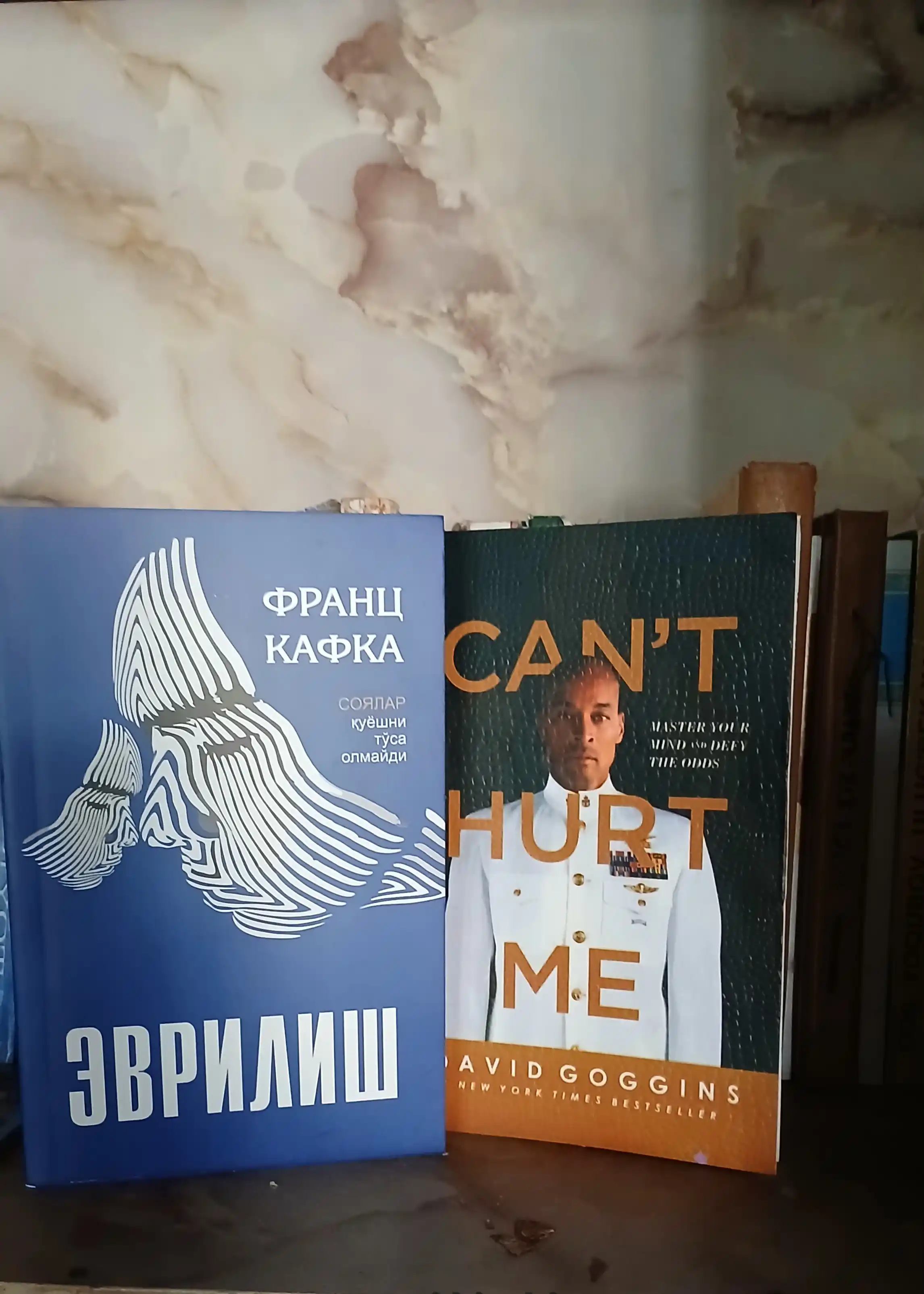 Эврилиш — Франс Кафка, бегоналашув ва оила ҳақидаги қисса