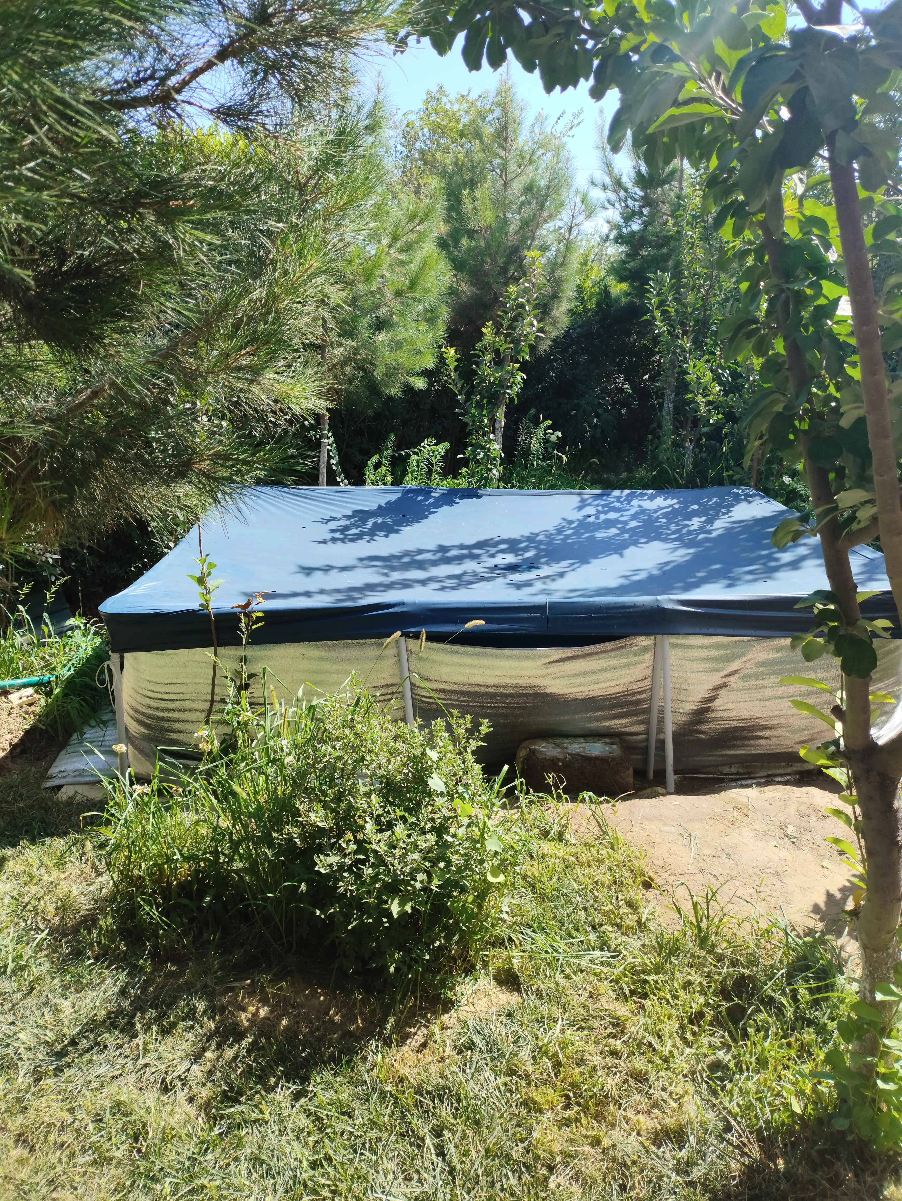 Karkas hovuzi uchun tent
