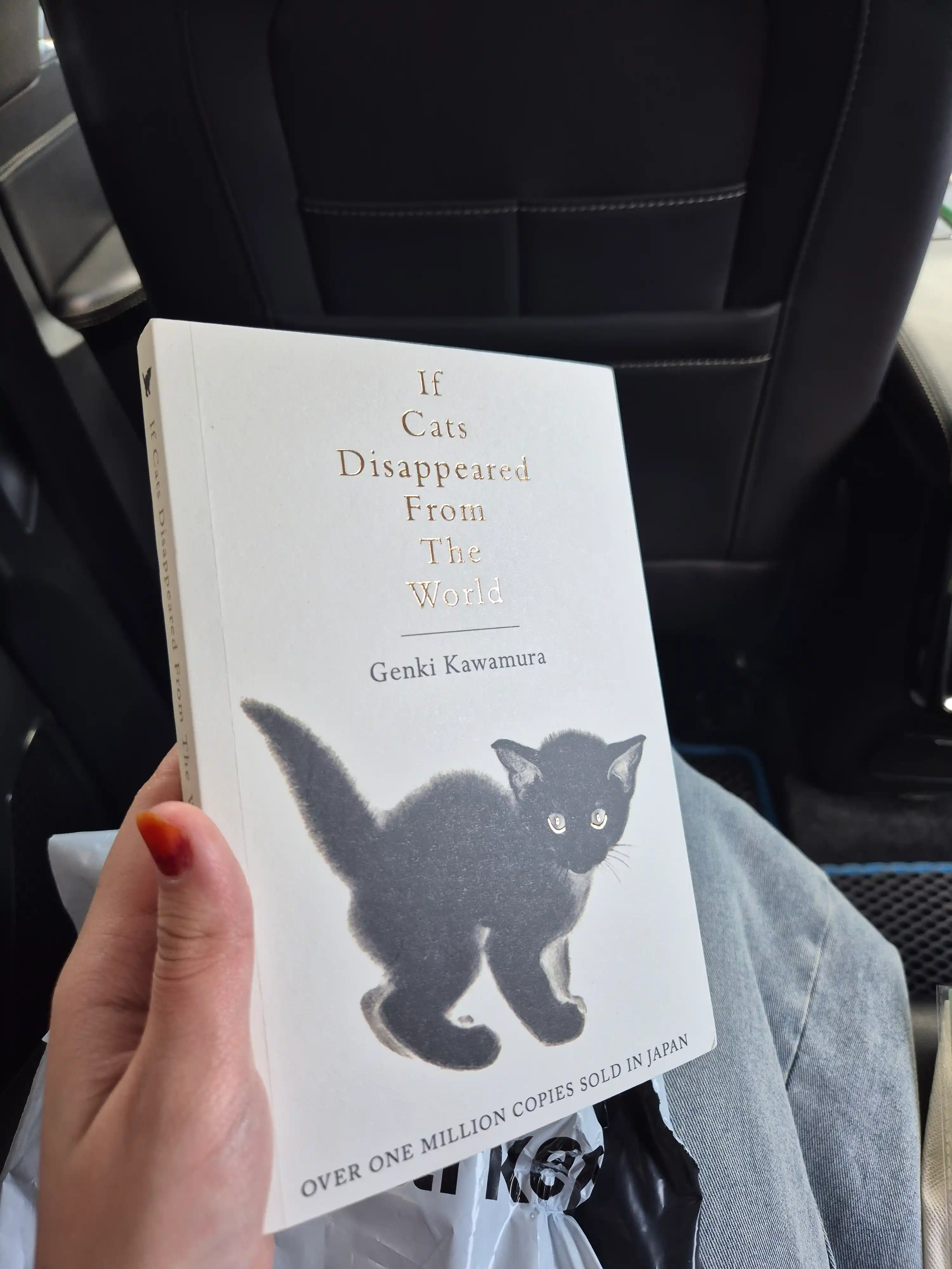 Yesli vse koshki v mire ischeznut. If Cats Disappeared from the World, Kawamura Genki