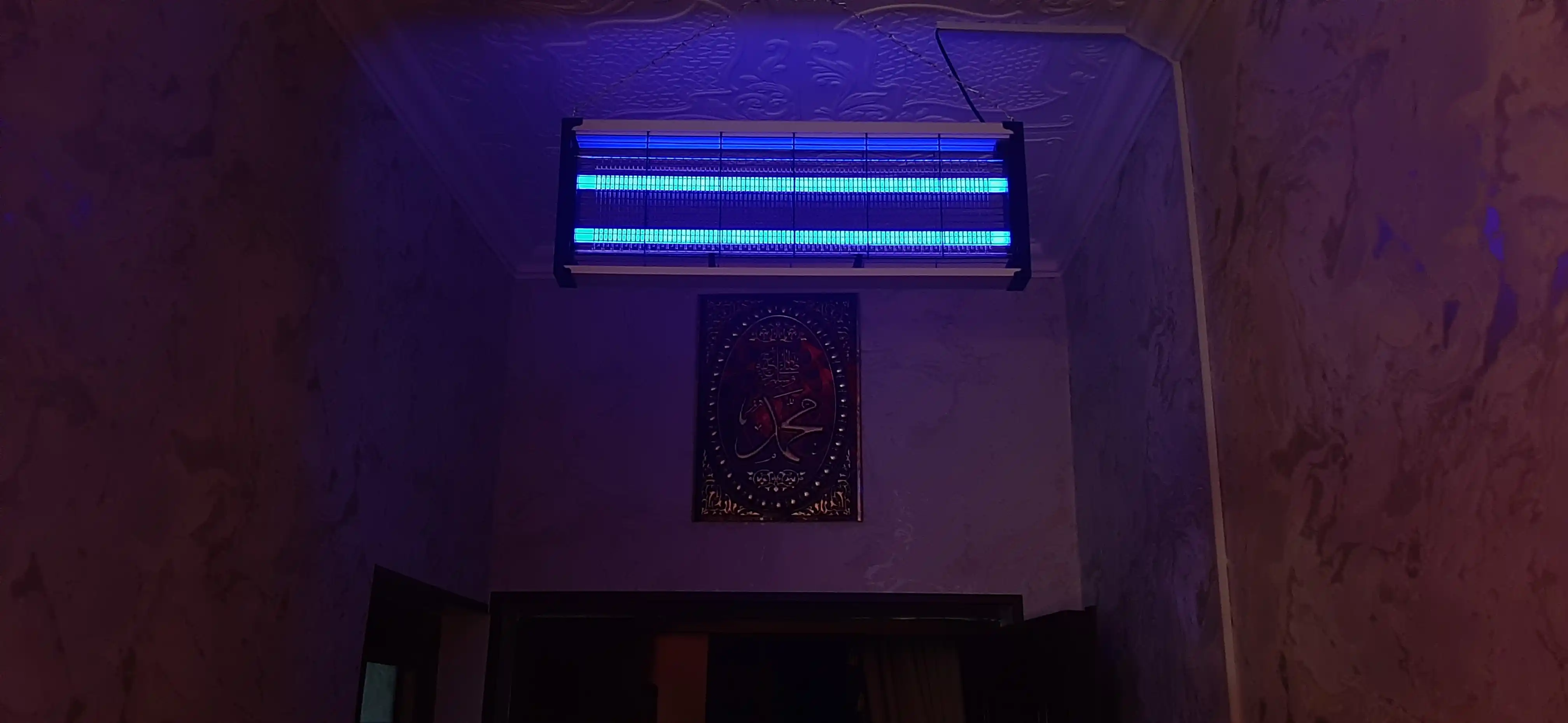 Elektr pashshaboz, ultrabinafsha, chivin va pashshalardan himoya qiladi