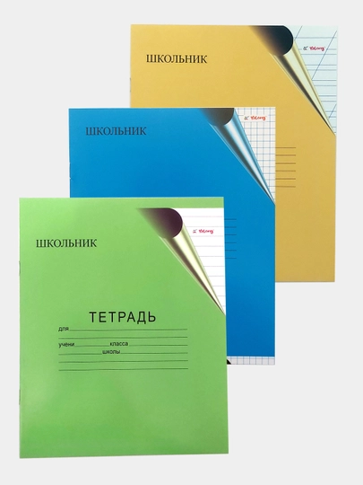 Тетрадь, 12 листов, 10 штук в клетку, в линейку, в тонкую линейку — ERU-DAFTAR1-5KATAK