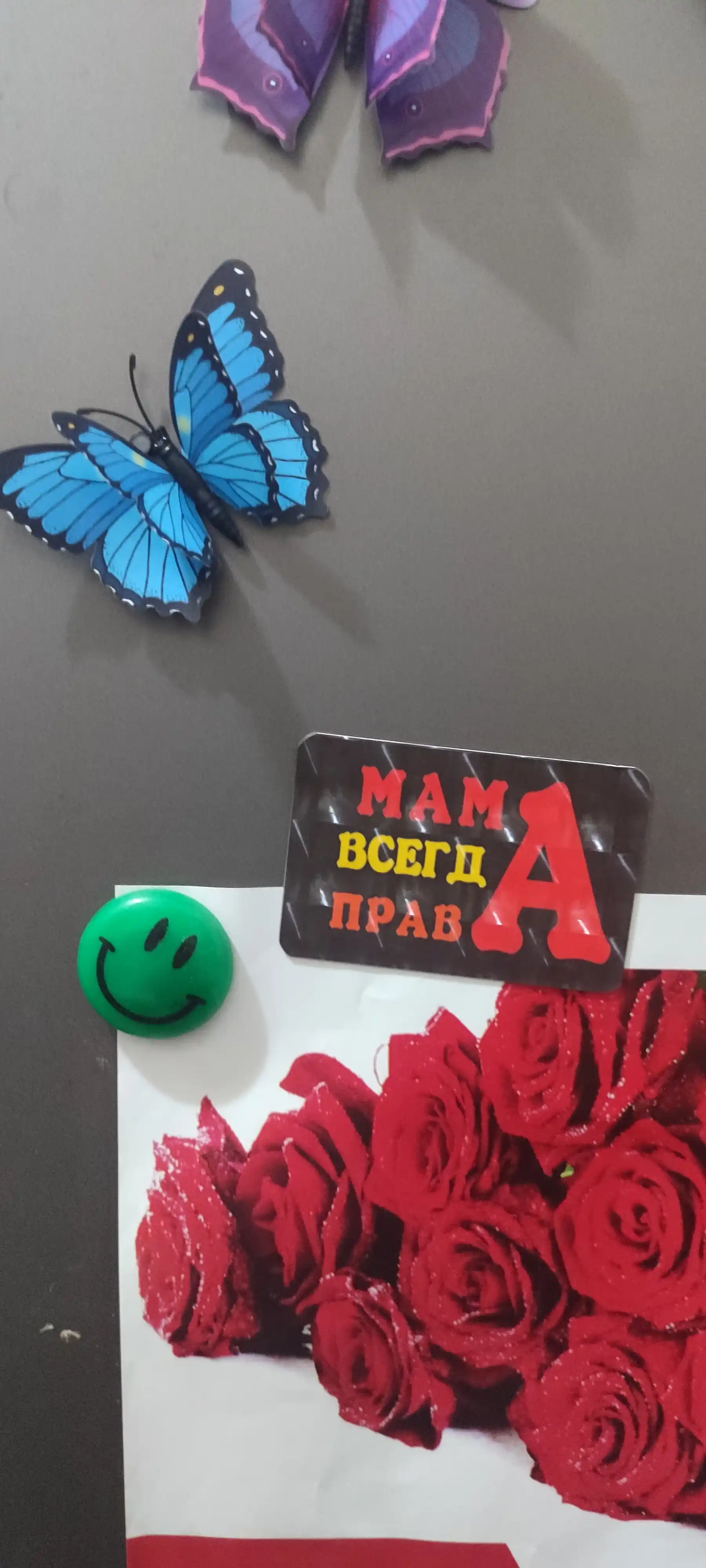 Sovutgich uchun magnit "Alhamdulillah"