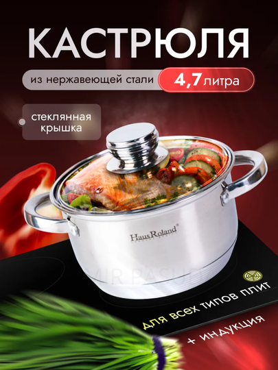 Haus Roland zanglamas po‘latdan kastryulka, induksion plita uchun - 