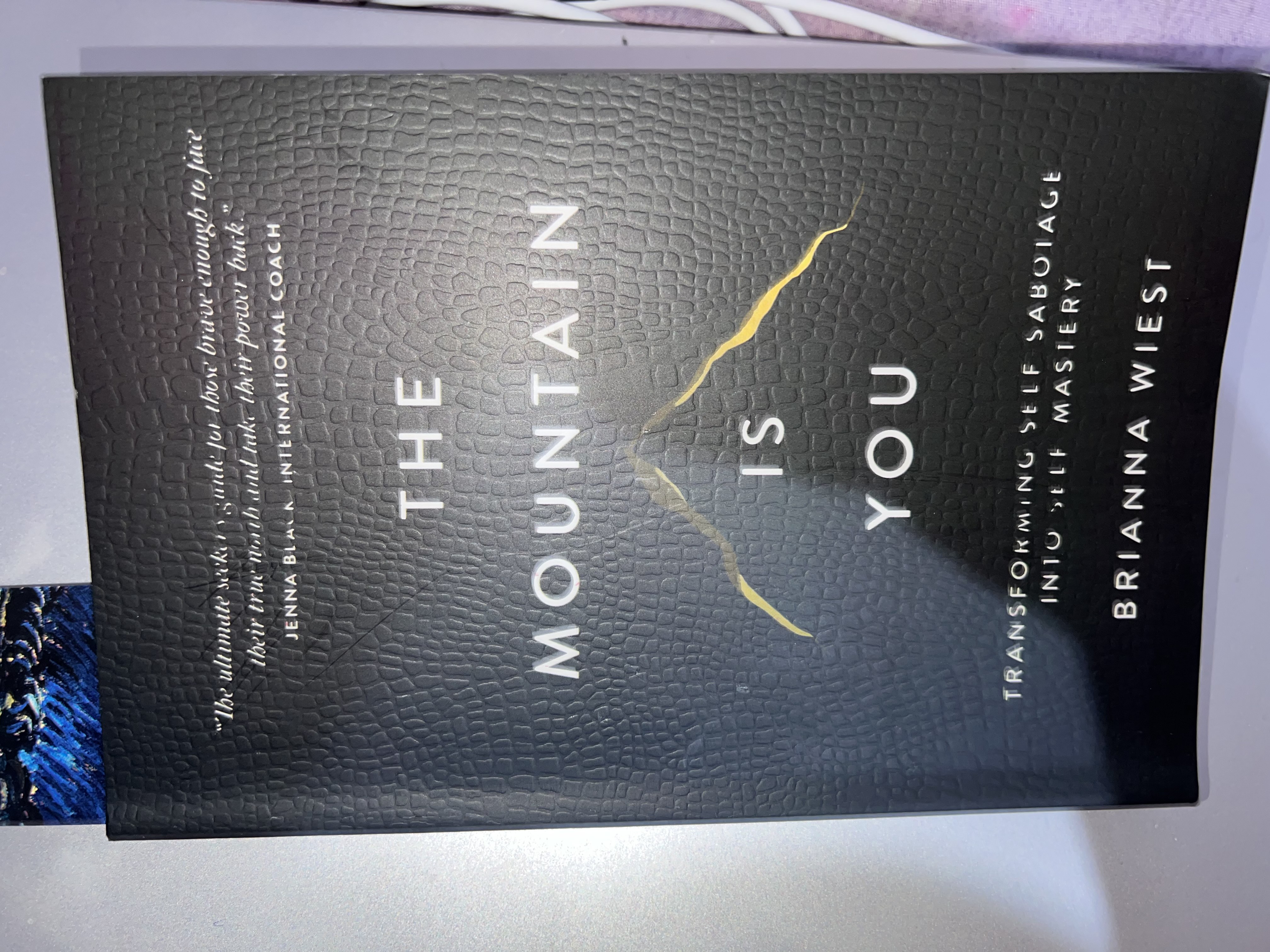 The Mountain is you - Brianna Wiest