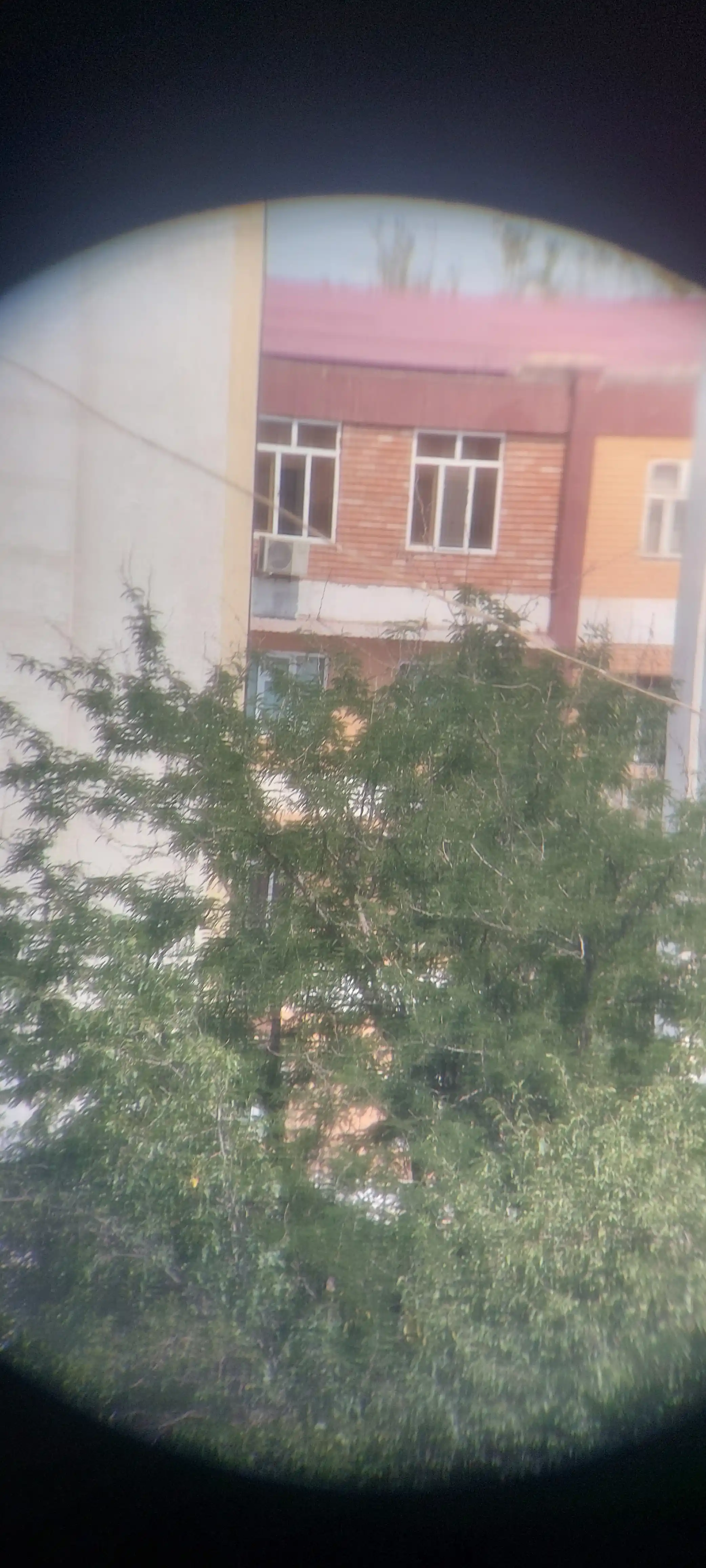 Бинокль БПЦс2 12х45М и 8*30 Байгыш, с угломерной сеткой