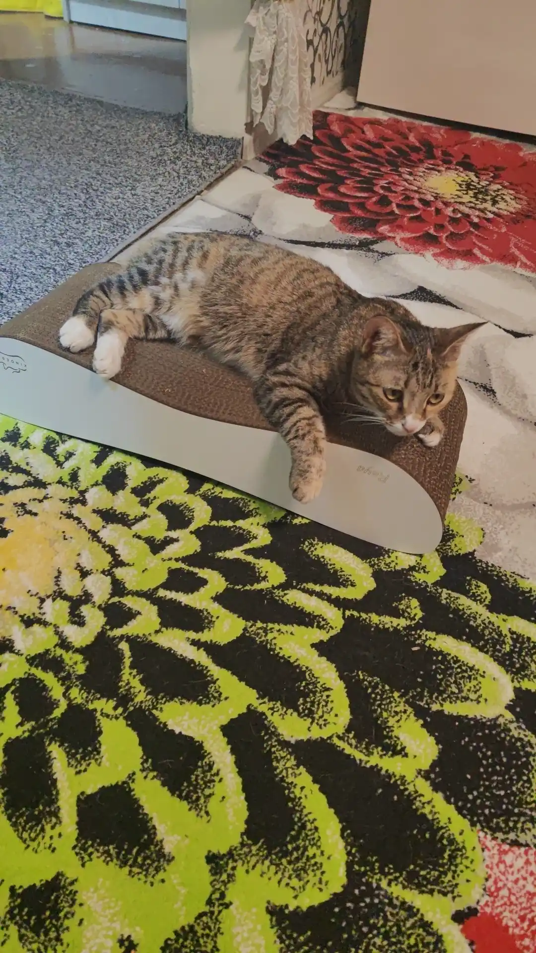 Когтеточка картонная, Reya KinderCat, для кошек и котят