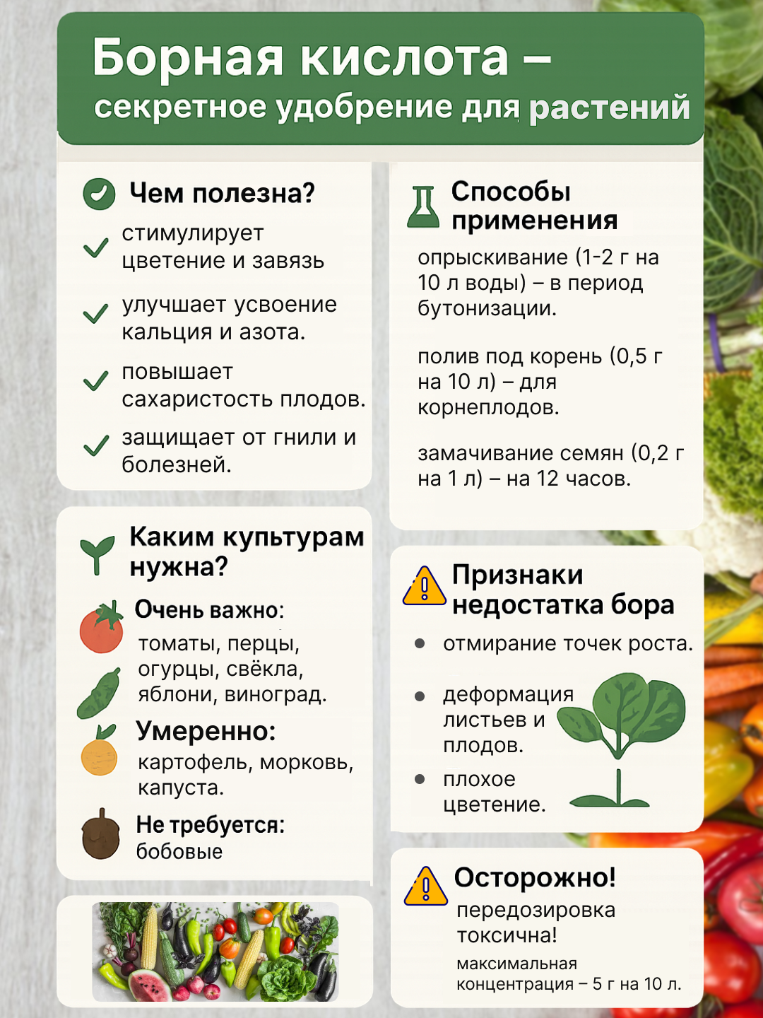 Борная кислота - увеличивает урожай, интенсивность цветения, 50 г