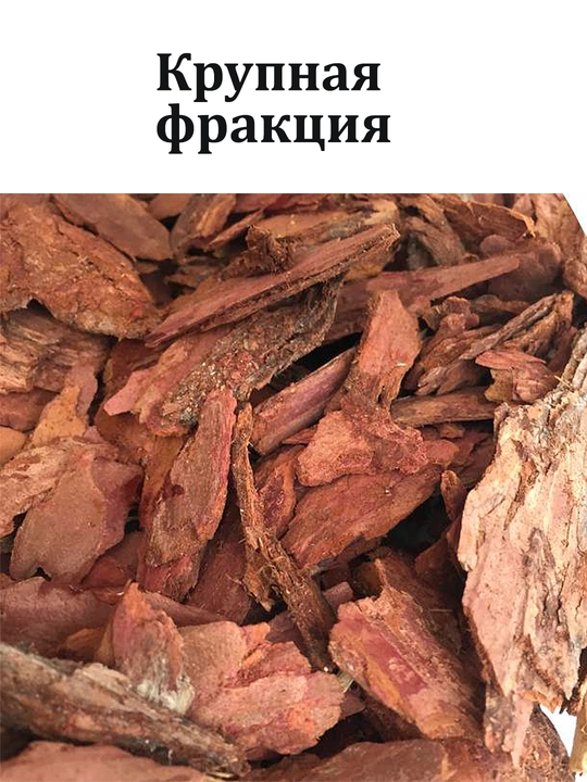 Yirik qarag‘ay po‘stlog‘i