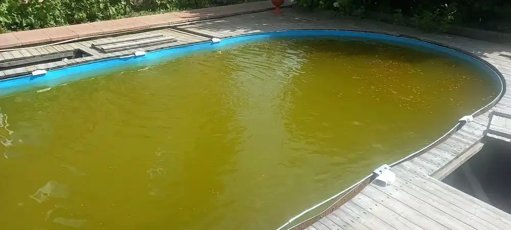 Химия для бассейна Альгицид, для очистки от водорослей в воде
