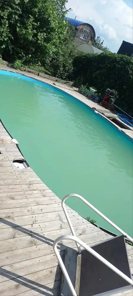 Химия для бассейна Альгицид, для очистки от водорослей в воде