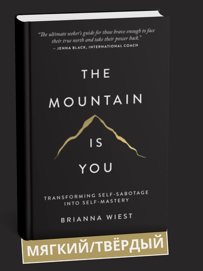 The Mountain is you - Brianna Wiest - 