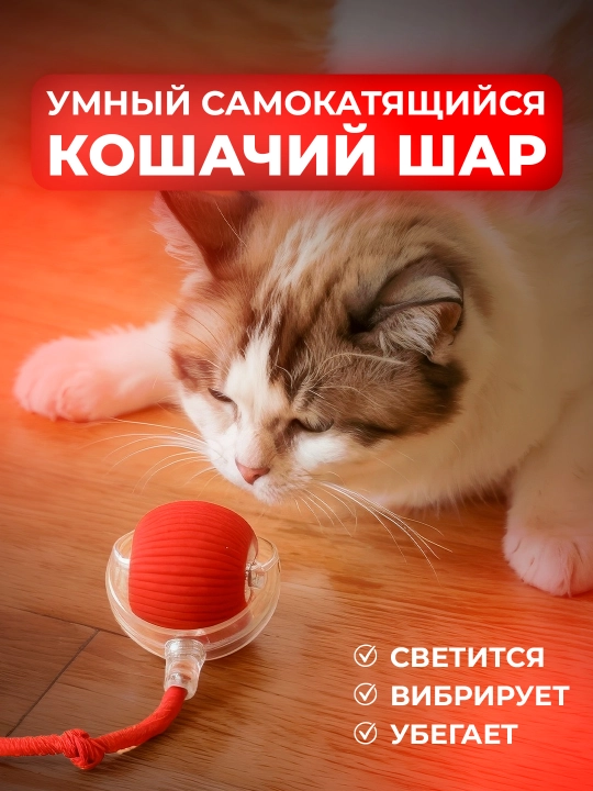 Умный самокатящийся кошачий шар
