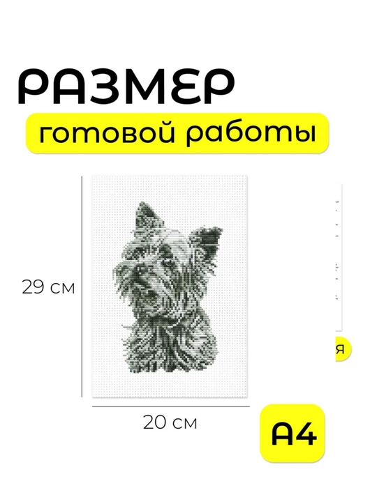 20 × 29 sm kashtado'zlik rasmi