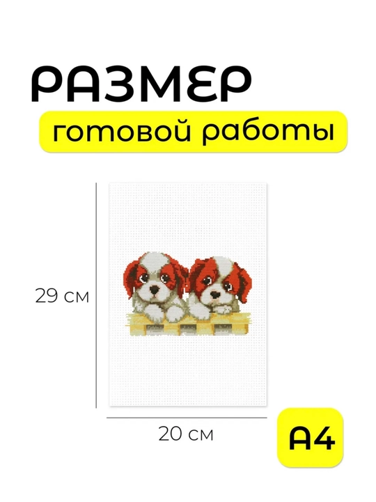 20 × 29 sm kashtado'zlik rasmi