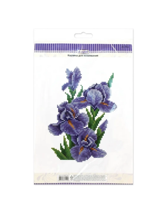 20 × 29 sm kashtado'zlik rasmi