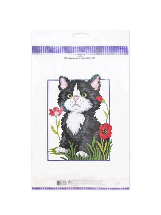 20 × 29 sm kashtado'zlik rasmi