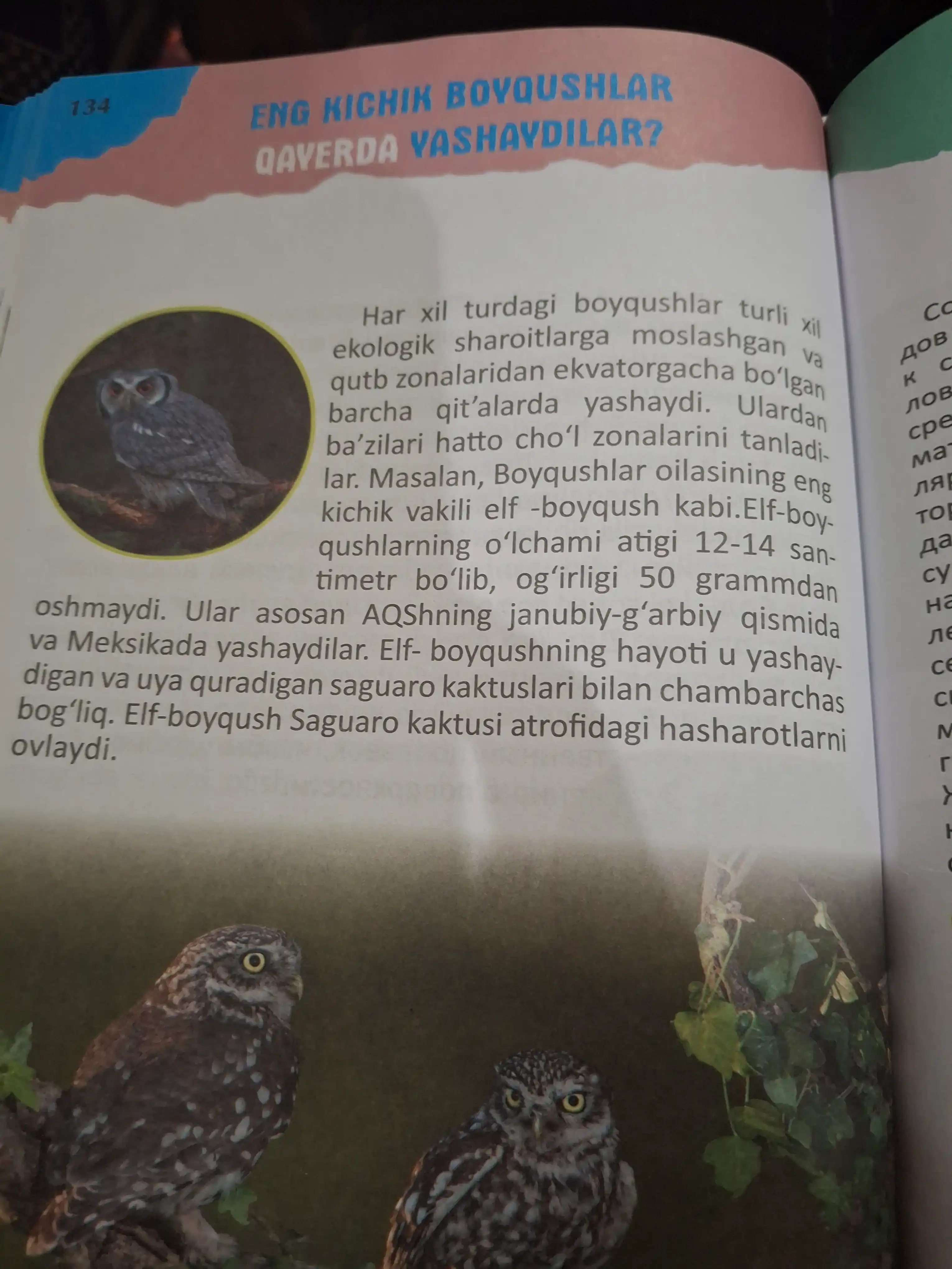 Nima uchun? Rus va o'zbek tillarida bolalar ensiklopediyasi