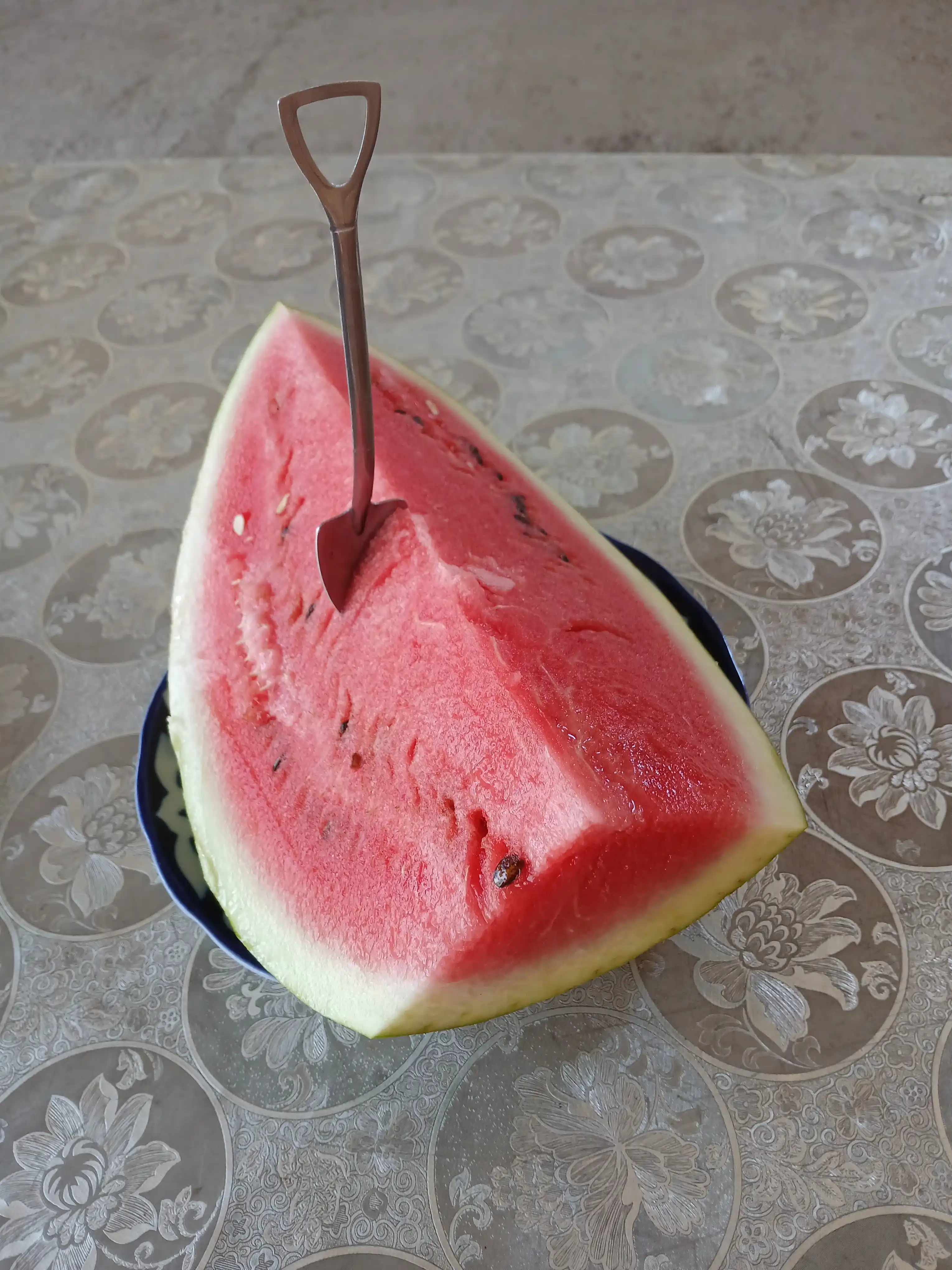 Desert qoshiqchalari, lopatka shaklida, qutida 6 dona