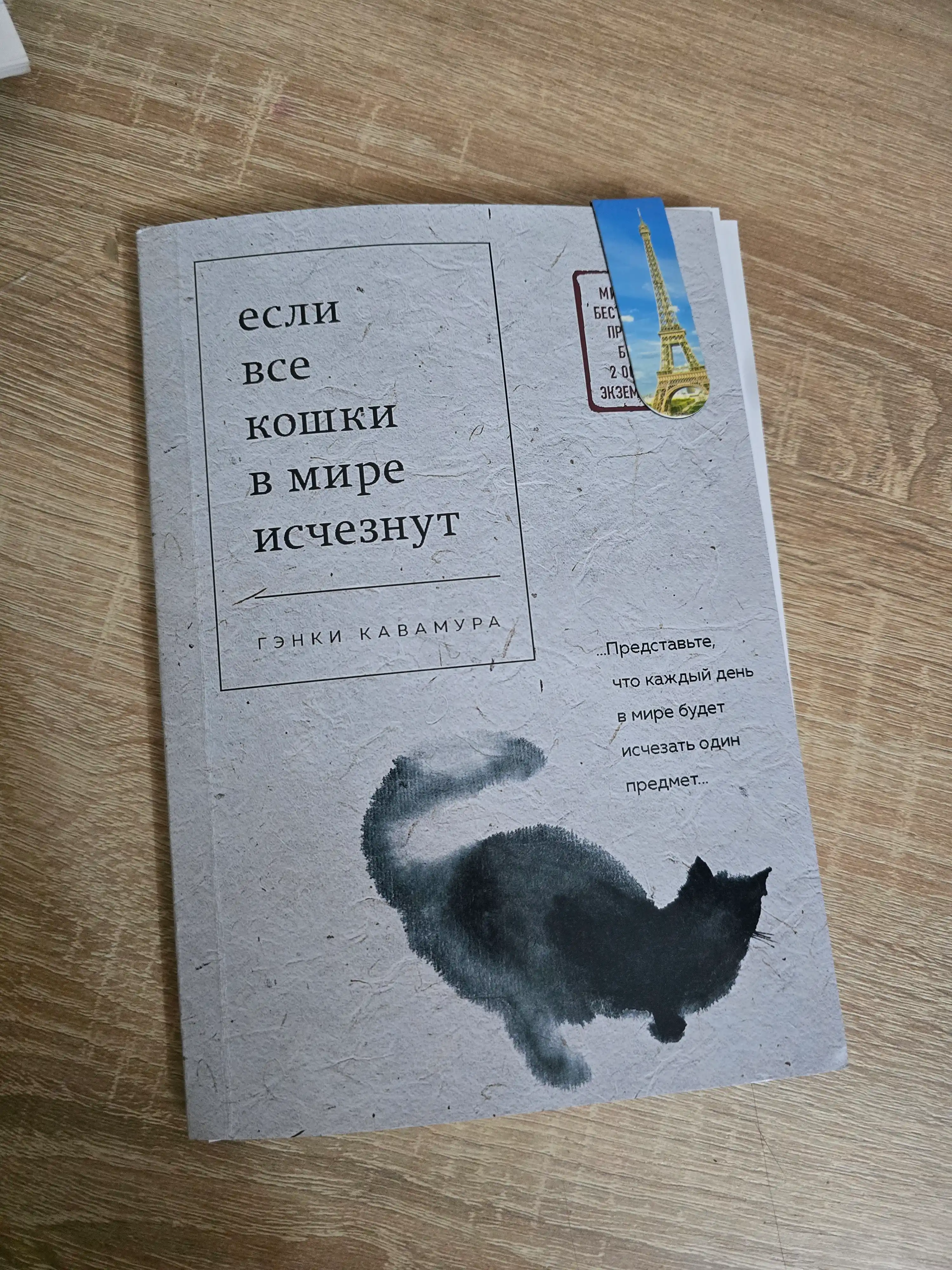 Yesli vse koshki v mire ischeznut, Kavamura Genki