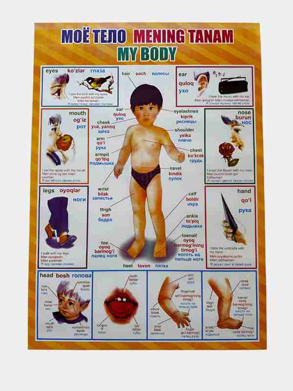 Watch rus aeroporti seks videos Onalar bilan porno jinsiy aloqa