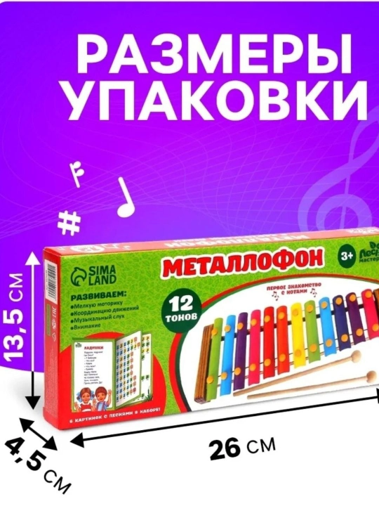 Музыкальные инструменты ксилофон детский Радуга BIG-M-ANGEL