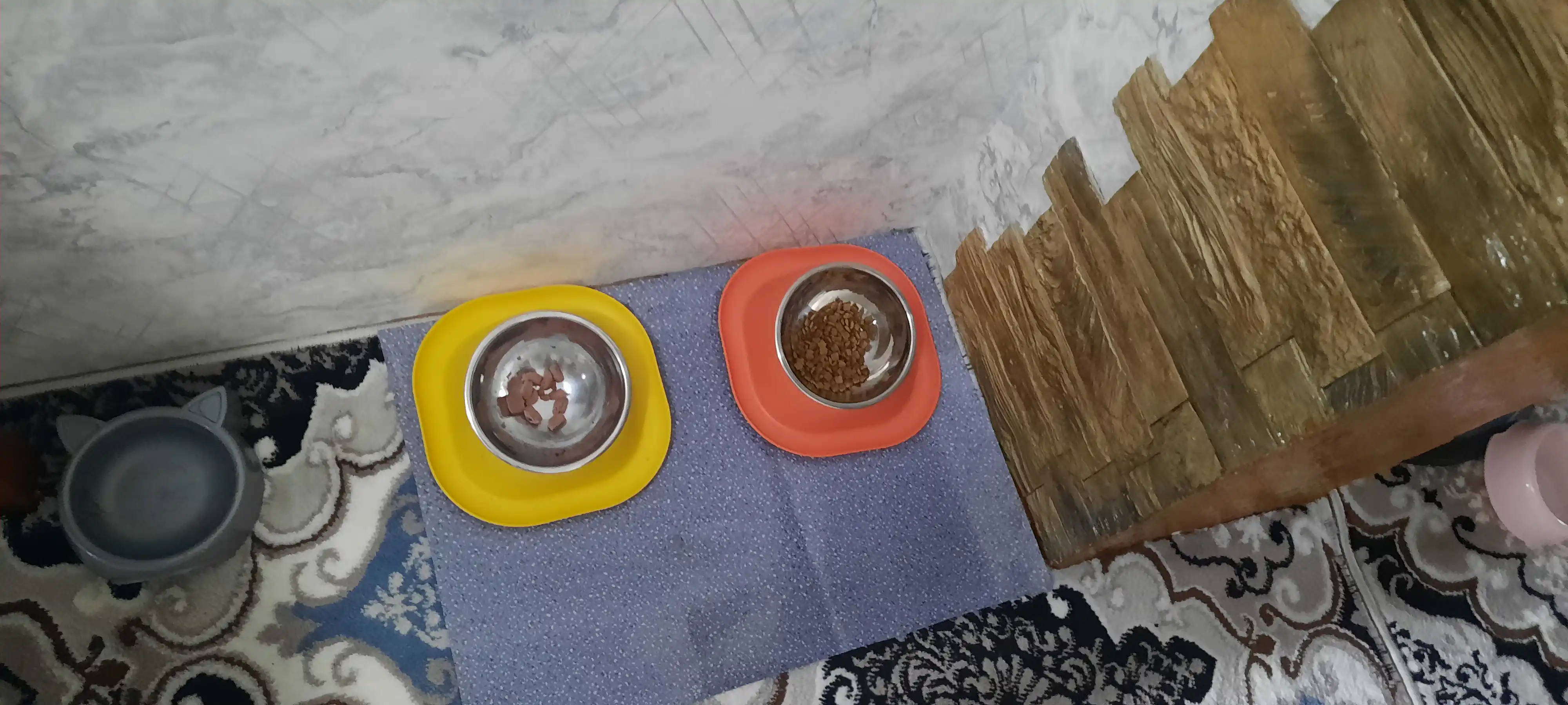 Kichik zotli itlar, Mushuklar va mushukchalar uchun plastik stenddagi metall idish