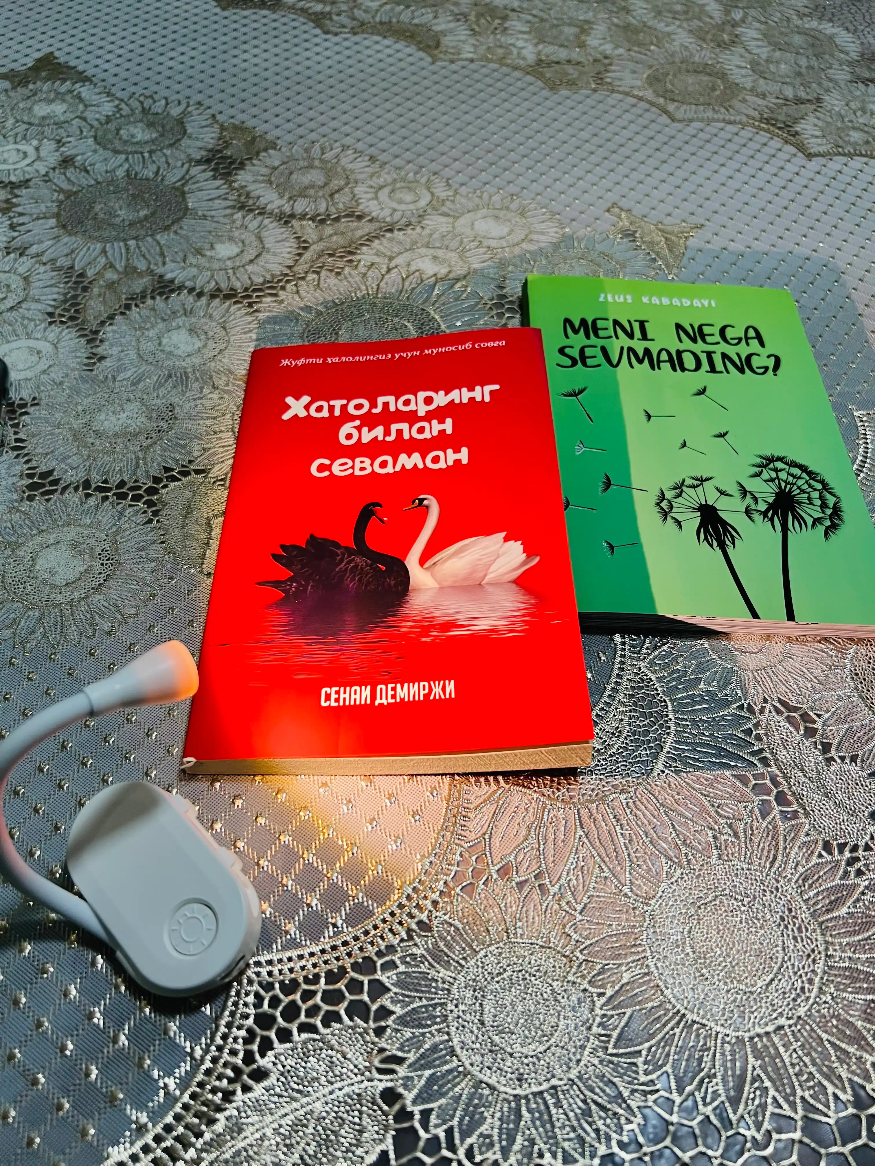 Xatolaring bilan sevaman, Senai Demirji