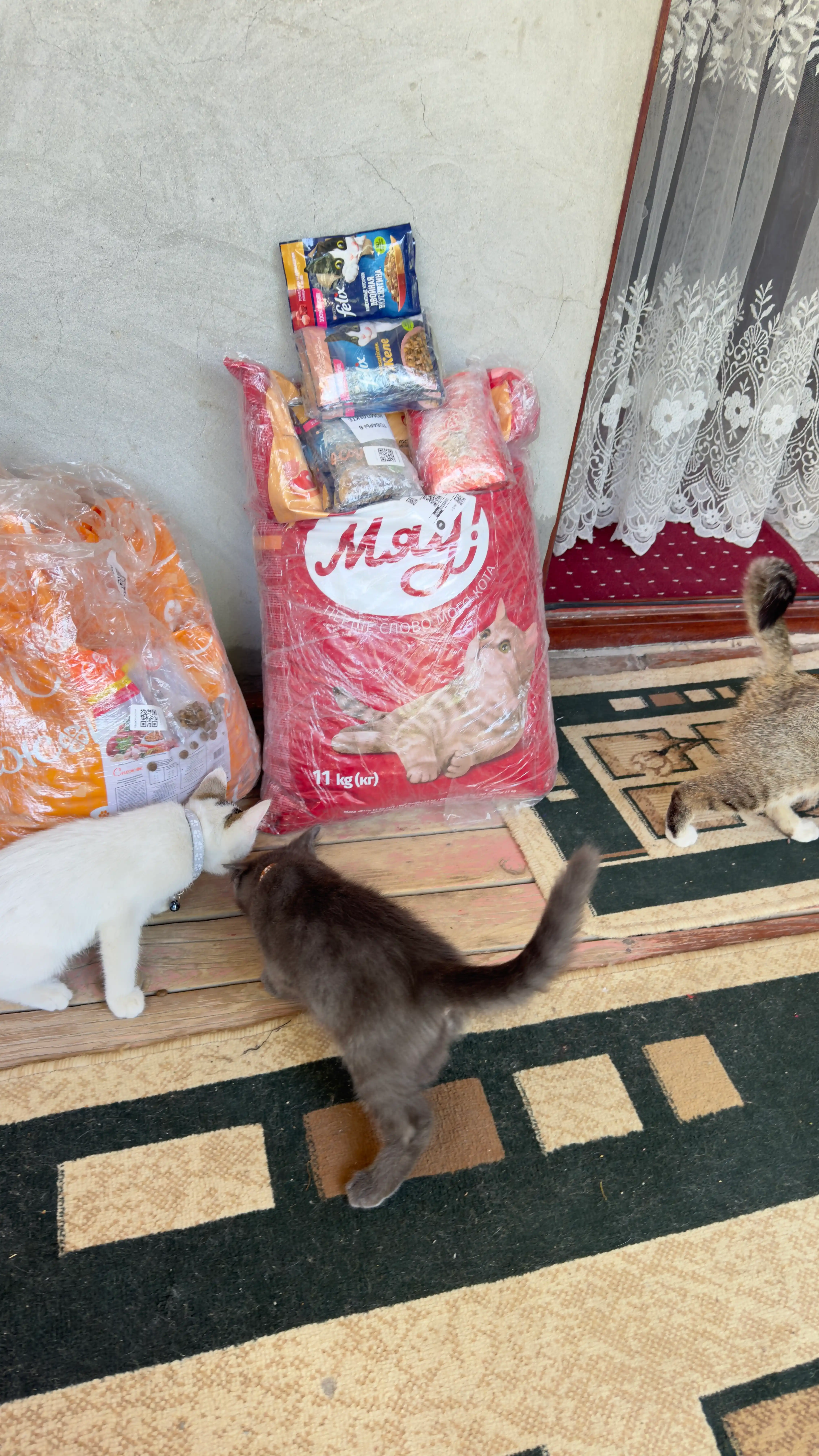Felix Sensations mushuk nam yemi, jeledagi lasos treska ta'mi bilan, 75 gr 5 dona