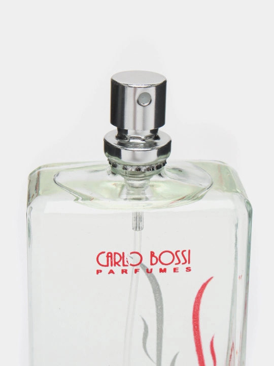 Парфюмернная вода для женщин Red Light, Bright Light, Blue Light Pour Femme, 100 мл