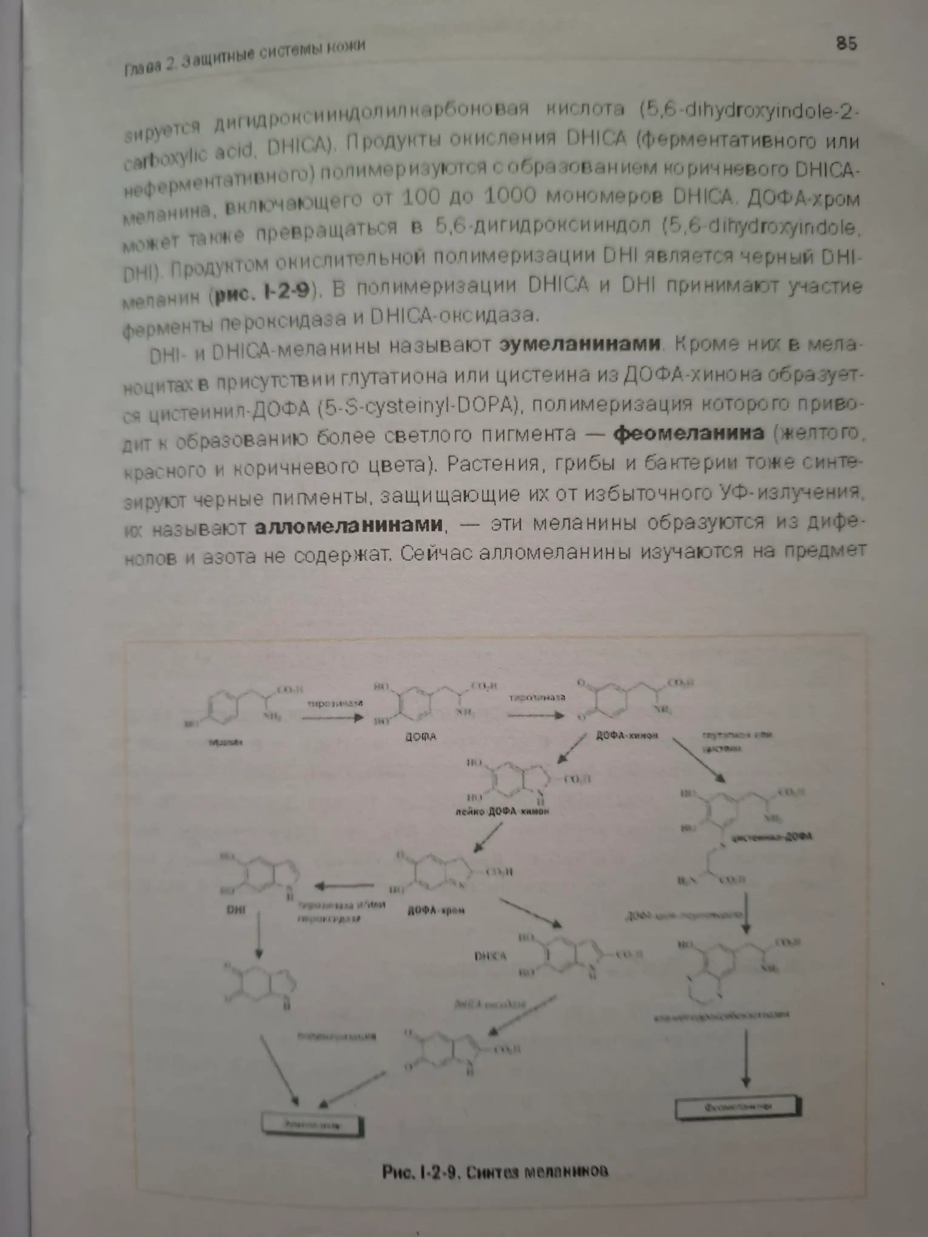 Новая косметология, Основы современной косметологии, 2-е изд