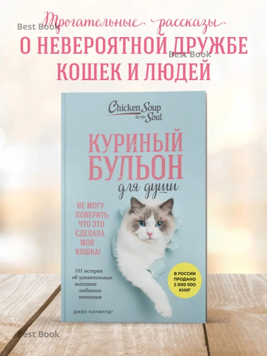 Kurinyy bul'on dlya dushi, Ne mogu poverit', chto eto sdelala moya koshka! - 